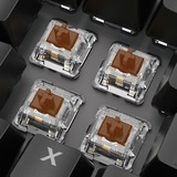 Sharkoon Skiller SGK20 Brown RGB clavier gaming mécanique Noir, Layout BE (AZERTY), Huano Brown, 100%