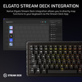 Corsair VANGUARD PRO 96 RGB clavier gaming mécanique Noir, Layout US (QWERTY), Corsair MGX, 96%, QWERTY US, MGX, 96%, RGB, hot-swap
