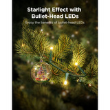 Govee Christmas Sparkle String Lights, Lampe 30 mètres