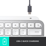 Logitech MX Keys Mini For Mac Minimalist Wireless Illuminated, clavier Graphite, Layout États-Unis, US lay-out, Bluetooth