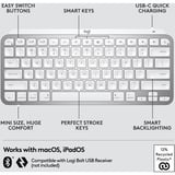 Logitech MX Keys Mini pour Mac Minimalist, clavier Graphite, Layout US (QWERTY), Bluetooth