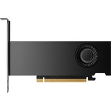 PNY Quadro RTX 2000 Ada Generation 16 Go, Carte graphique 4x Mini-DisplayPort