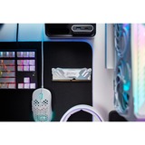 Kingston FURY 32 Go DDR5-7200 Kit, Mémoire vive Blanc, KF572C38RWAK2-32, Renegade RGB, XMP