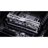 G.Skill 48 Go DDR5-7200 Kit, Mémoire vive Argent, F5-7200J3646F24GX2-TR5S, Trident Z Royal, RGB led, XMP 3.0