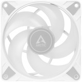 ARCTIC P12 PWM PST A-RGB ventilateur de boîtier Blanc, 120 x 120 x 25 mm
