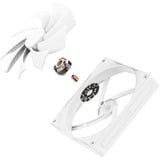 NZXT F140Q ventilateur de boîtier Blanc, 140 x 140 x 25 mm, PWM