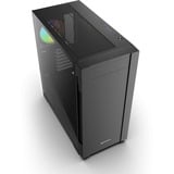 Sharkoon S25-W2 ARGB boîtier midi tower Noir | 2x USB-A | 1x USB-C | RGB | Verre Trempé