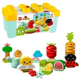 LEGO DUPLO - Jardin en biotube, Jouets de construction 