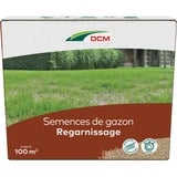 DCM 1004769, Graines 