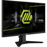 MSI MAG 255XF 24.5" Moniteur gaming Noir, 1x DisplayPort, 2x HDMI, 300 Hz