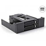DeLOCK Rack mince et amovible de baie pour 2x SSD 2.5" U.2 NVMe avec châssis 5.25", Cadrage Noir
