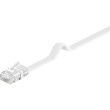 goobay Câble de raccordement RJ-45 U/UTP Cat.6 Blanc, 10 mètres, Câble plat