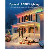 Govee Icicle Lights, 10 mètres, Lampe Blanc, Matter