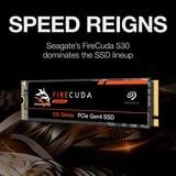 Seagate FireCuda 530 1 To SSD ZP1000GM3A013, PCIe 4.0 x4, NVMe 1.4, M.2 2280