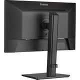 iiyama ProLite XUB2293HSU-B7 21.5" Moniteur Noir, 1x DisplayPort, 1x HDMI, 2x USB-A