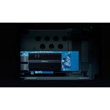 Synology E10G30-T2, Carte réseau 