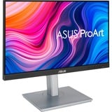 ASUS ProArt Display PA247CV 24" Moniteur  Noir/Argent, HDMI, DisplayPort, Sound