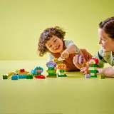 LEGO DUPLO City - Jardin de fleurs créatif, Jouets de construction 10444