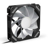Sharkoon SHARK Mirror RGB PWM REVERSE, Ventilateur de boîtier Noir, 4 broches PWM