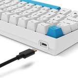 Sharkoon SKILLER SGK50 S2 PBT RGB clavier gaming mécanique Blanc, Layout BE (AZERTY), Gateron G Pro 3.0 Yellow, 96%, Hot-swappable