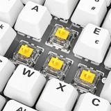 Sharkoon SKILLER SGK50 S2 PBT RGB clavier gaming mécanique Blanc, Layout BE (AZERTY), Gateron G Pro 3.0 Yellow, 96%, Hot-swappable