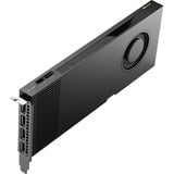 NVIDIA® RTX 4000 Ada 20 Go, Carte graphique 4x DisplayPort