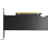 NVIDIA® RTX PRO 2000 Blackwell, Carte graphique 4x mini-DisplayPort, En vrac