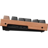 Keychron K10 HE-F1 RGB clavier mécanique Noir, Layout BE (AZERTY), Gateron Double-Rail Magnetic Nebula, 100%, Hot-swappable, Bluetooth, 2.4GHz