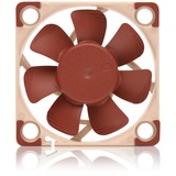 Noctua NF-A4x10 24V PWM, Ventilateur de boîtier Marron/Beige