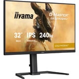 iiyama G-Master Gold Phoenix GB3290QSU-B1 31.5" Moniteur gaming  Noir (Mat), 240 Hz, HDMI, DisplayPort, USB-C, audio, AMD FreeSync