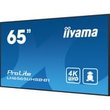 iiyama ProLite LH6565UHSB-B1, Affichage public Noir