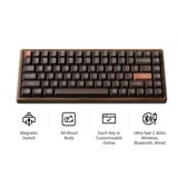 Keychron K2HE All-Wood Special Edition clavier mécanique Bois, Layout US (QWERTY), Gateron Double-Rail Magnetic Nebula, 75%, Gateron Double-Rail Magnetic, OSA PBT double-shot, hot swap, Bluetooth 5.2 | USB-C