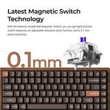 Keychron K2HE All-Wood Special Edition clavier mécanique Bois, Layout US (QWERTY), Gateron Double-Rail Magnetic Nebula, 75%, Gateron Double-Rail Magnetic, OSA PBT double-shot, hot swap, Bluetooth 5.2 | USB-C
