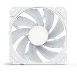 Sharkoon SHARK Mirror RGB PWM, Ventilateur de boîtier Blanc, 4 broches PWM