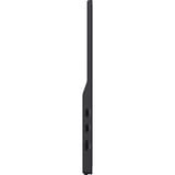iiyama ProLite P1671HSC-B1 écran plat de PC 39,6 cm (15.6") 1920 x 1080 pixels Full HD LED Noir Moniteur  Noir (Mat), 39,6 cm (15.6"), 1920 x 1080 pixels, Full HD, LED, 3 ms, Noir
