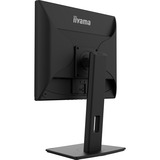 iiyama Prolite B1980D-B5 19" Moniteur  Noir, VGA, DVI