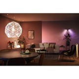 Philips Hue White and Color Ambiance 2-pack GU10, Lampe à LED 2000K - 6500K, Dimmable