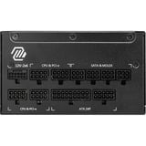 MSI MAG A1250GL PCIE5 alimentation  modulaire 1250 watt Noir, 1x 12V-2x6, 4x PCIe