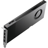 NVIDIA® RTX PRO 4000 Blackwell, Carte graphique 4x DisplayPort