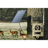 Reolink S130, caméra de chasse 4K/8MP 4G LTE avec vue en direct et vision nocturne Starlight, Caméra de surveillance Camouflage