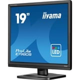 iiyama  19" Moniteur  Noir