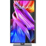 ASUS ProArt Display PA24ACRV 24" Moniteur Argent/gris, 2x DisplayPort, 1x HDMI, 1x USB-C, 3x USB-A
