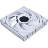 Lian Li UNI FAN TL140 LCD Wireless Single Pack, Ventilateur de boîtier Blanc, 4 broches PWM + 1x 9 broches USB