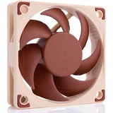 Noctua NF-A6x15 FLX ventilateur de boîtier 60 x 60 x 15 mm