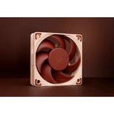 Noctua NF-A6x15 FLX ventilateur de boîtier 60 x 60 x 15 mm