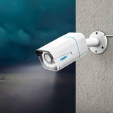Reolink P430, Caméra de surveillance Blanc