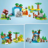LEGO DUPLO City - Familles d'animaux sauvages 3-en-1, Jouets de construction 10446
