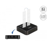 DeLOCK Station d'accueil M.2 pour 2x SSD M.2 SATA Noir