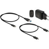 DeLOCK Station d'accueil M.2 pour 2x SSD M.2 SATA Noir