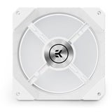 EKWB EK-Quantum Impulse 120 D-RGB ventilateur de boîtier Blanc, 120 x 120 x 29 mm